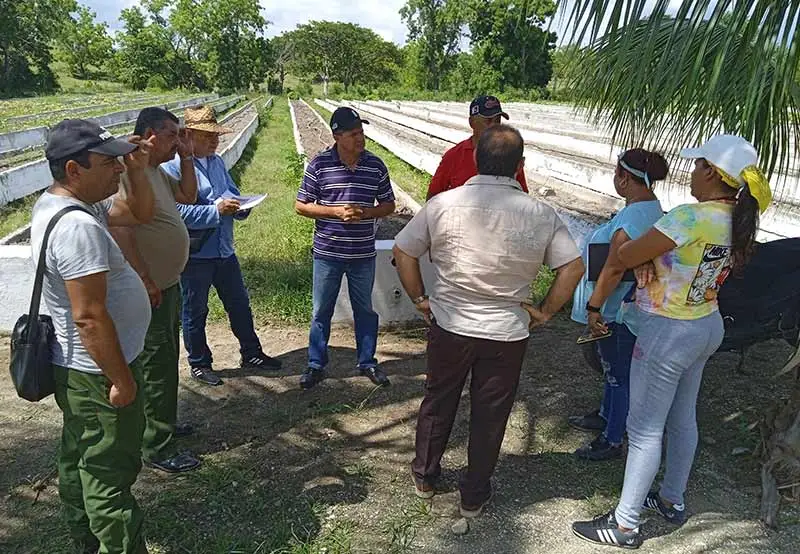 chequeo, organopónicos, Holguín, autoridades, PCC, gobierno