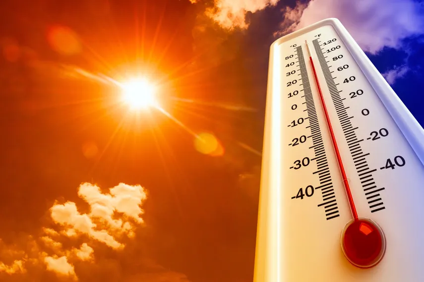 calor, agosto, cambio climático
