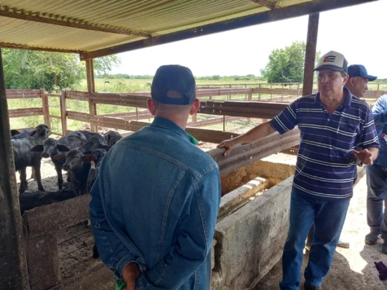 granja búfalas, polo agrícola, Magueyal, Cacocum, Holguín