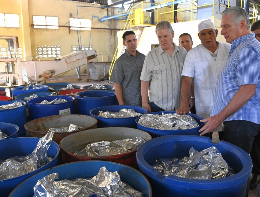 Díaz-Canel, visita a fábrica de conservas, Holguín