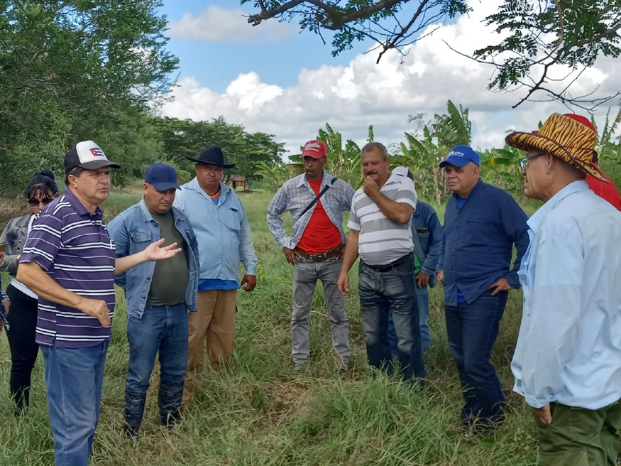 polo agrícola, maguyeal, Cacocum, rescate, Holguín