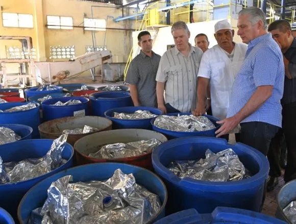 Cuba, Miguel Díaz-Canel, Holguín, presidente, visita