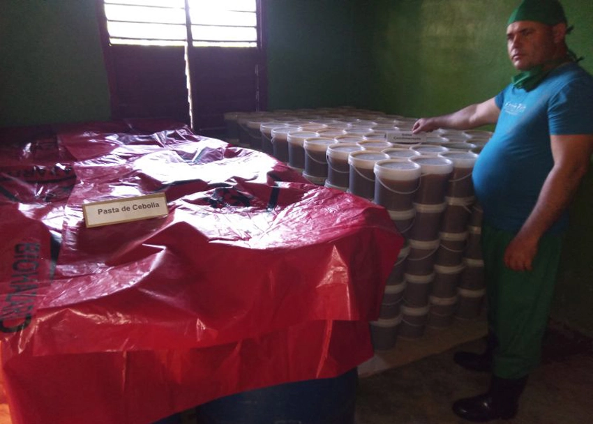 Pasta de cebolla producida en La Gloria. Foto: Tomada de Radio Juvenil