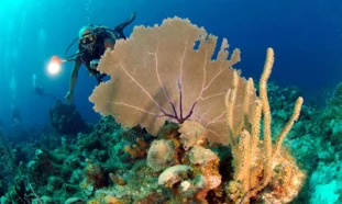 Arrecifes coralinos, Cuba, Holguín