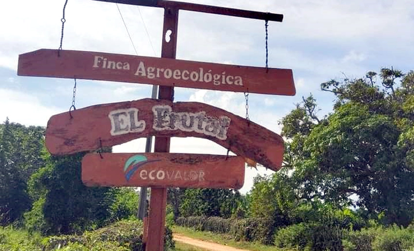 Finca El Frutal, Banes, Holguín,