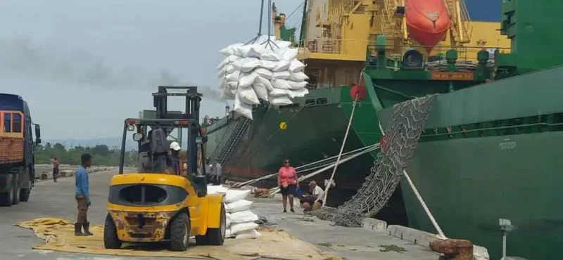 descarga, arroz, Cienfuegos, Cuba