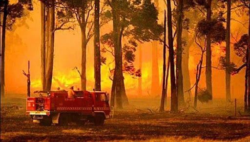 Cuba, incendios forestales, medio ambiente