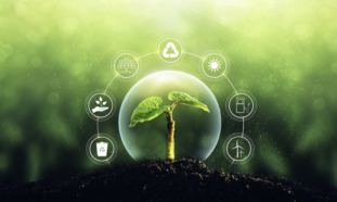 Agricultura resiliente