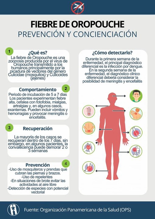Infografía características del virus de Oropouche
