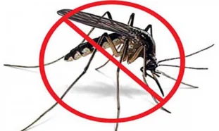 mosquito, no a lasa arbovirosis