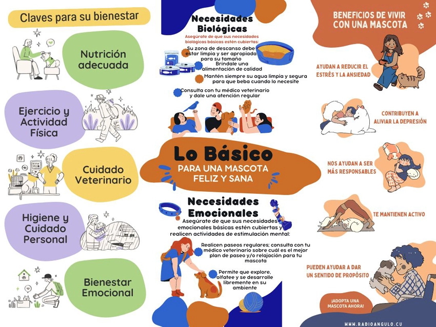 Infografía, cuidado de mascotas