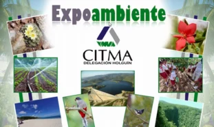 Cartel, Expoambiente, evento, Holguín