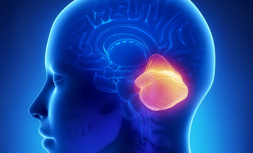 Perfil neuropsicológico, ataxia