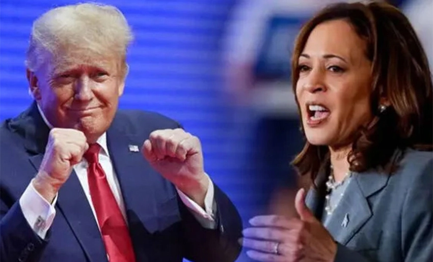 Kamala Harris y Donald Trump, Elecciones