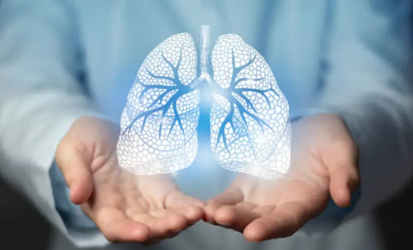 a Enfermedad Pulmonar Obstructiva Crónica (EPOC) es una de las principales causas de muerte y discapacidad a nivel mundial.