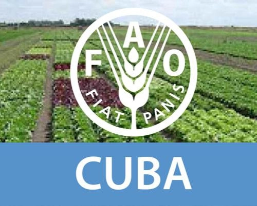 Cartel, FAO, Cuba,, Agricultura