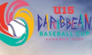 Cartel béisbol categoría sub 15 2024