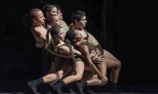 Codanza, Holguín