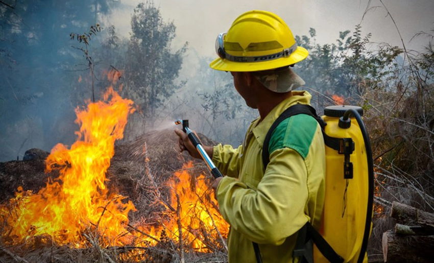 Incendio forestal en Holguín