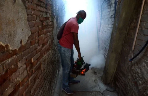 El Centro Provincial de Higiene, Epidemiología y Microbiología de Holguín impulsará en este 2025 un mayor control de vectores entre las medidas encaminadas a prevenir el dengue y otras patologías transmitidas por el mosquito Aedes aegypti.