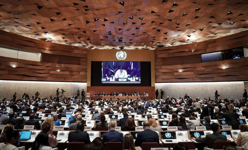 Asamblea Mundial de la Salud, Ginebra