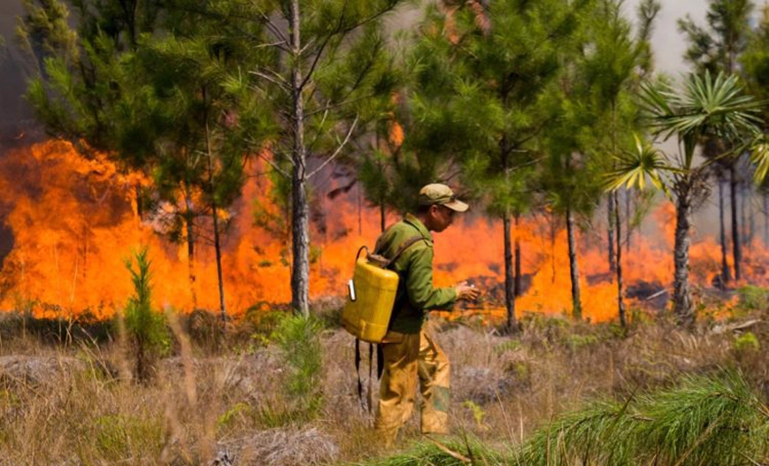 Incendio en Pinares de Mayarí, Holguín
