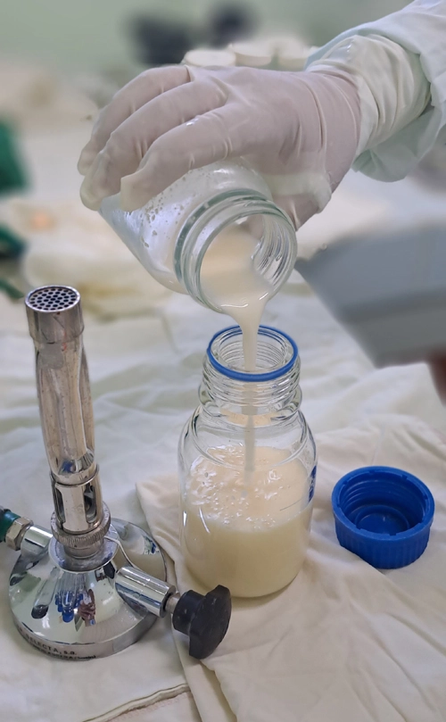 Proceso de pasteurización de la leche materna donada, Holguín