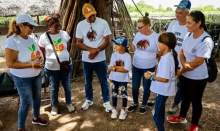 Proyectos de PMA en Holguín