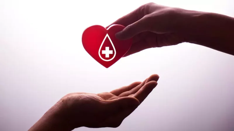 donantes, voluntarios, sangre, Holguín