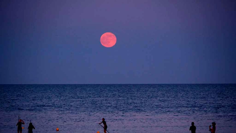 Luna de fresa, color, noche, satélite natural, Hemisferio Norte
