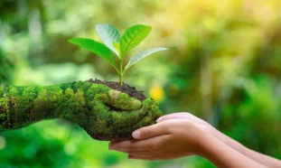 Naturaleza y Medio Ambiente