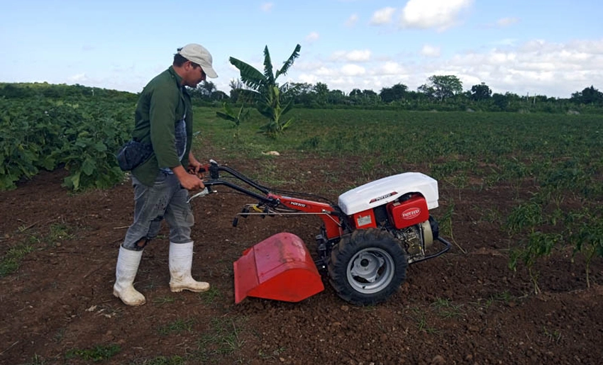 Proyecto agrícola en Urbano Noris, Holguín