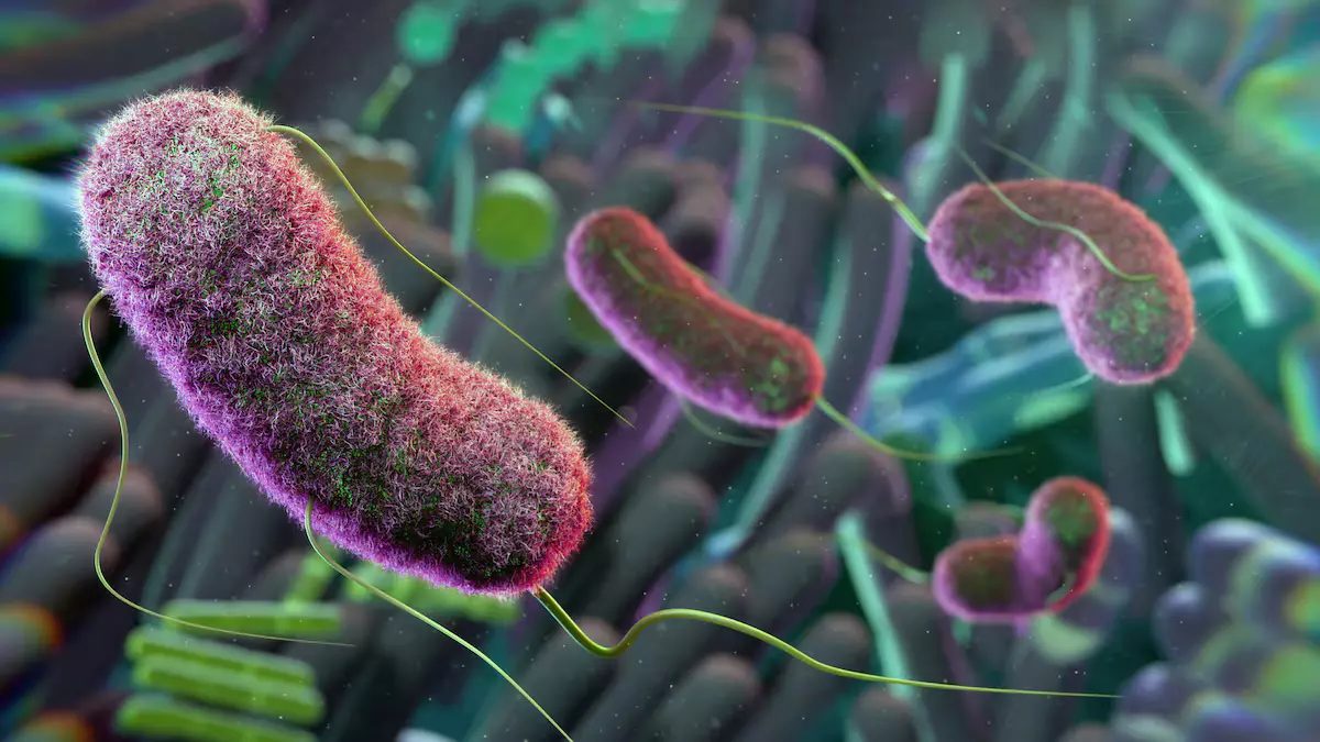 #ciencias, #insomnio, #intestinal, #microbiota, #salud