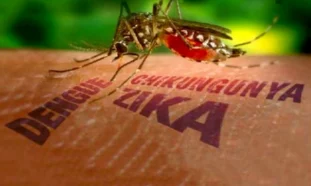 Arbovirosis por mosquitos