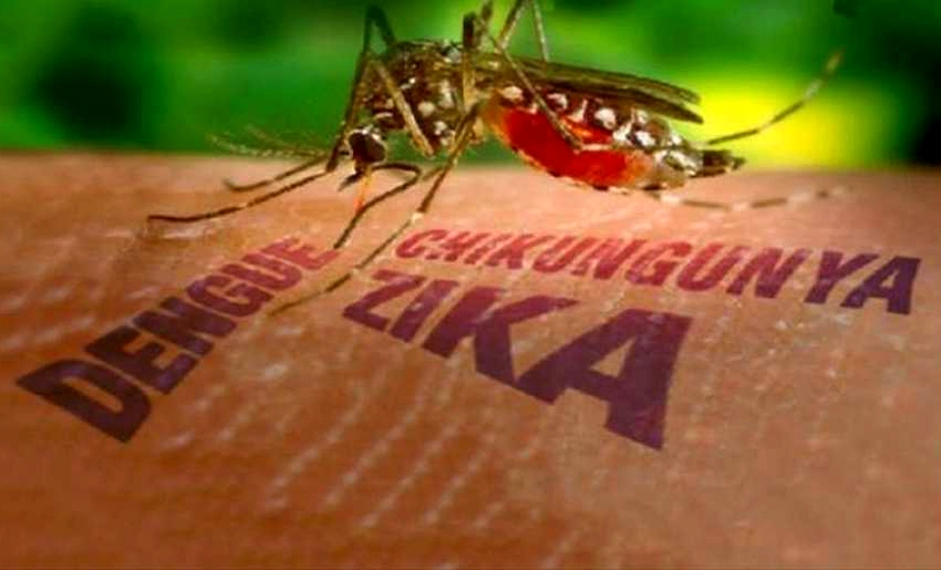 Arbovirosis por mosquitos