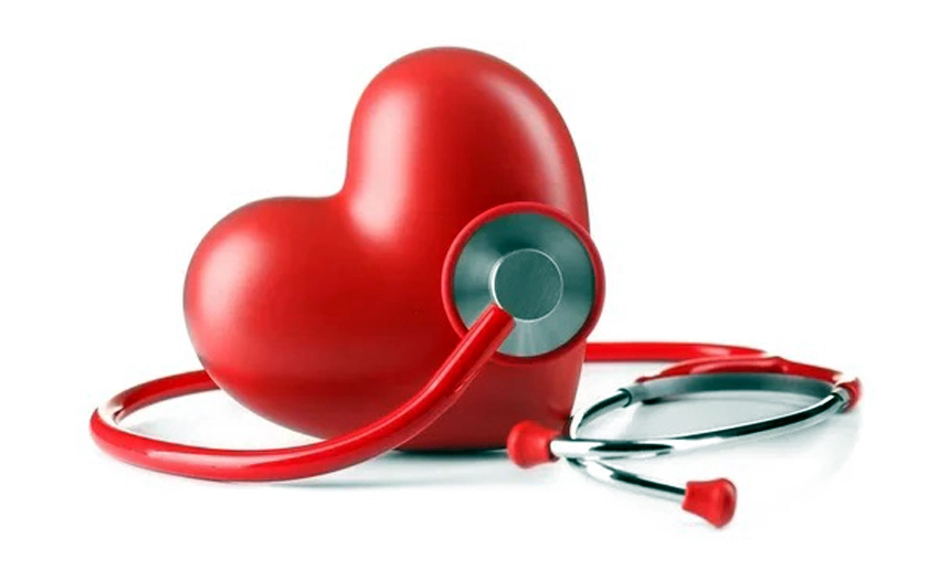 Corazón, esteto