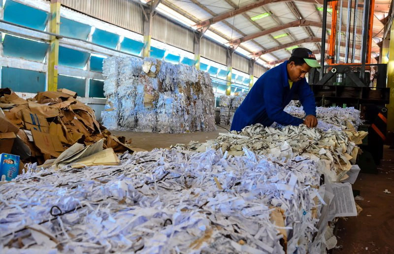 reciclaje, papel, cartón sustituyen importaciones, Holguín