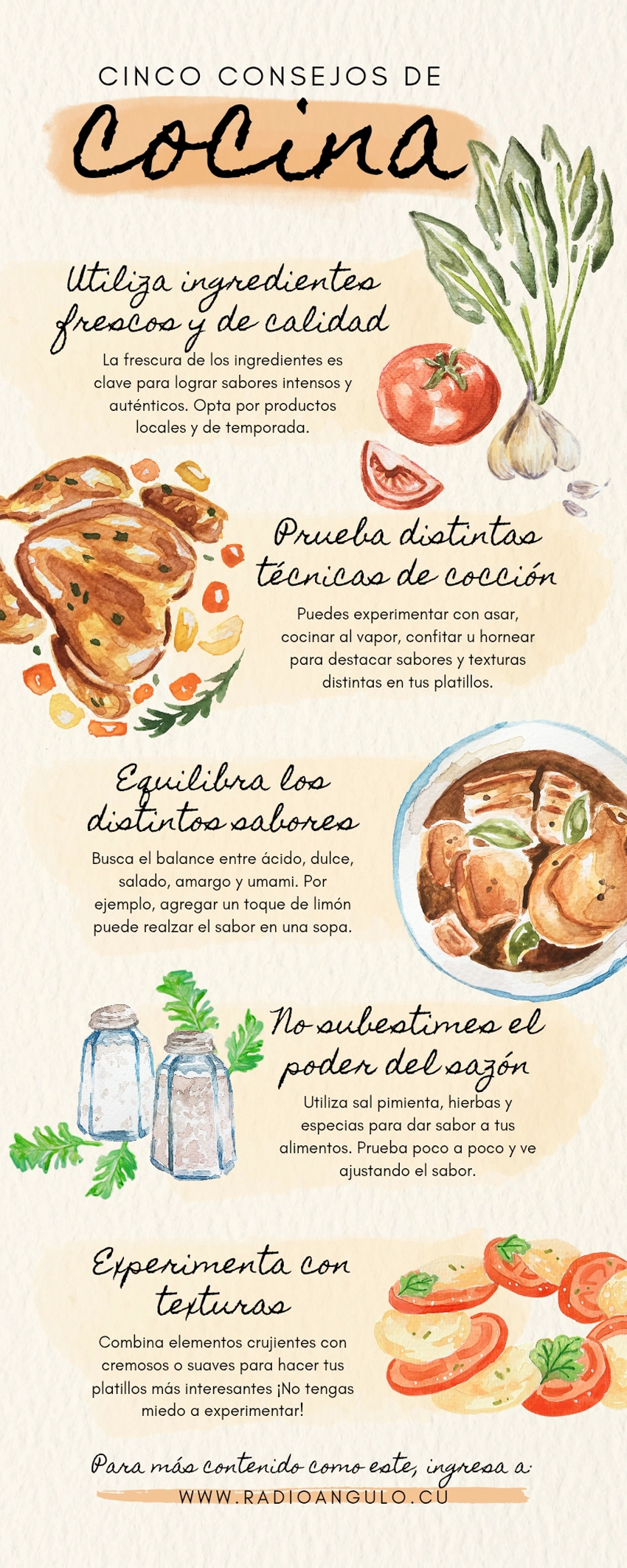 Infografía consejos de cocina