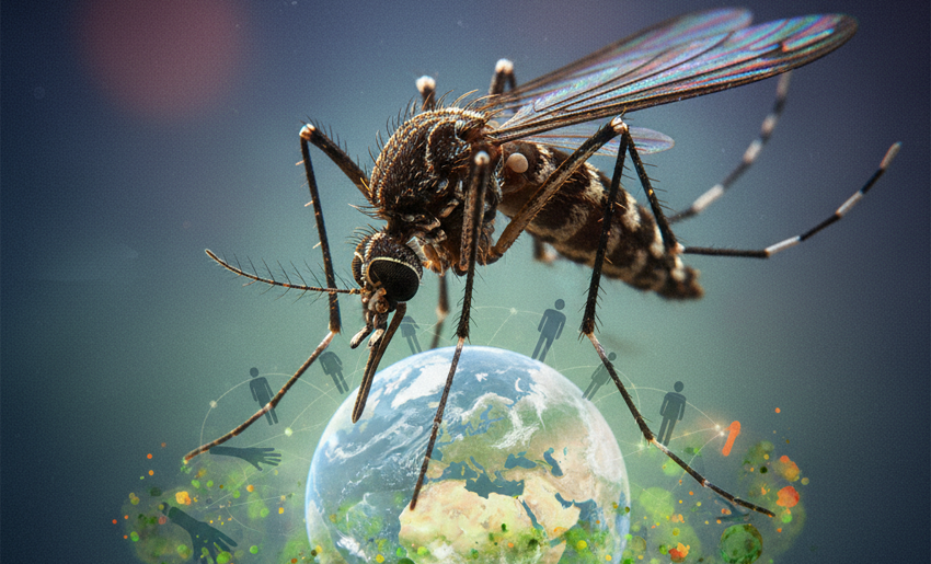 Mosquito, arbovirosis, Holguín