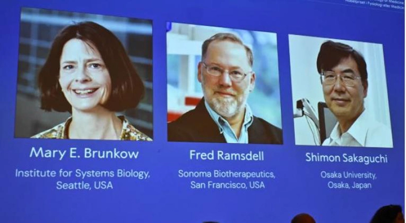 Mary E. Brunkow, Fred Ramsdell, Shimon Sakaguchi, Premio Nobel Medicina