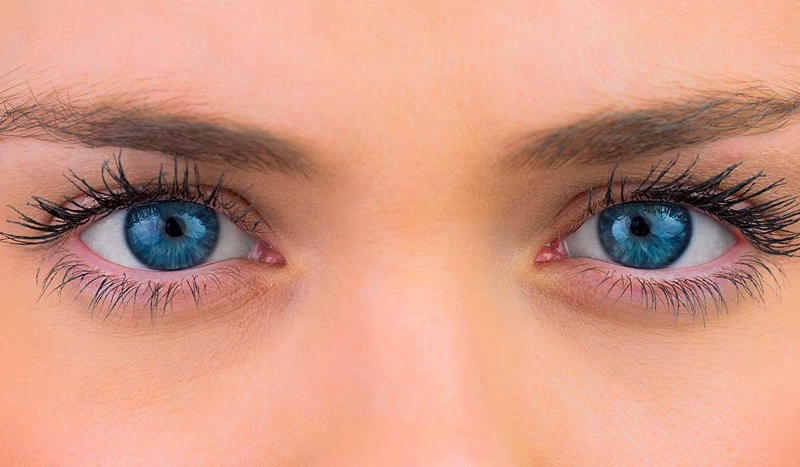 ojos, día mundial, visión