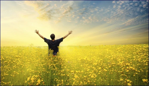 La felicidad, apreciar lo que tienes ( + Video) 0