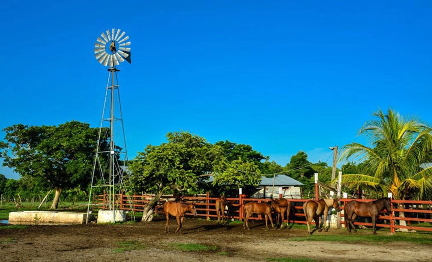 Finca agrícola en Holguín