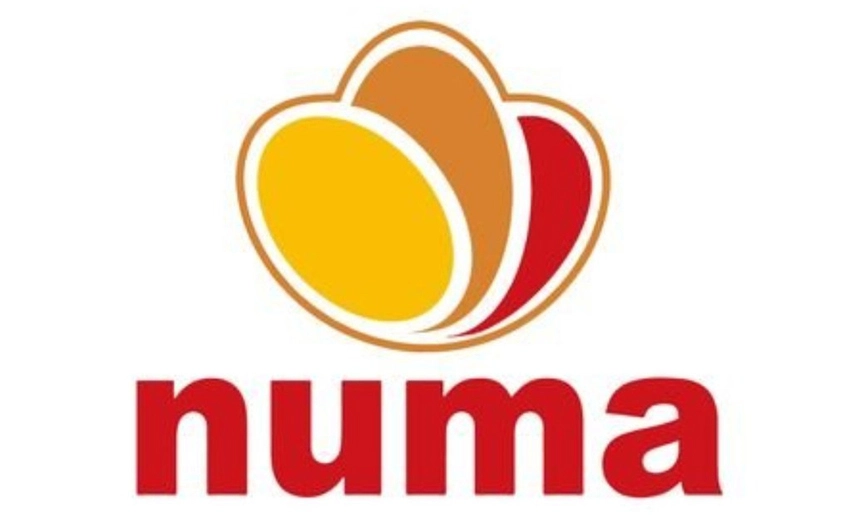 Logo NUMA