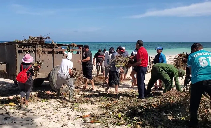 saneamiento de la playa Guardalavaca tras Melissa