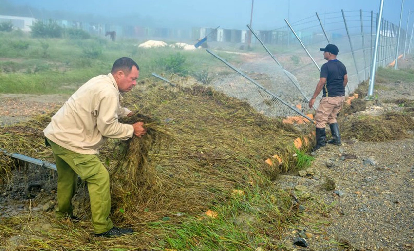 Fase Recuperativa tras Melissa en Holguín