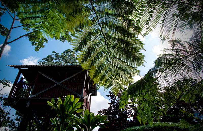 Holguín, cuna, áreas protegida, Cuba, acto central, Día de la Ciencia Cubana