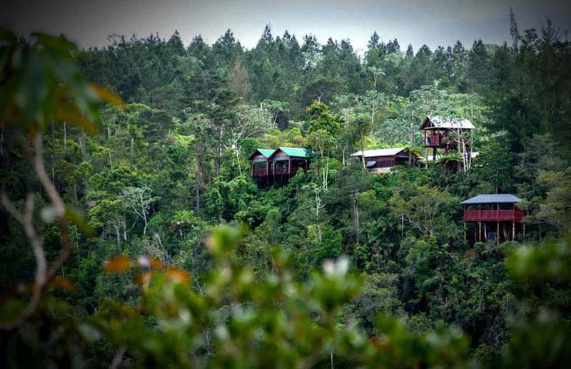 Holguín, cuna, áreas protegida, Cuba, acto central, Día de la Ciencia Cubana
