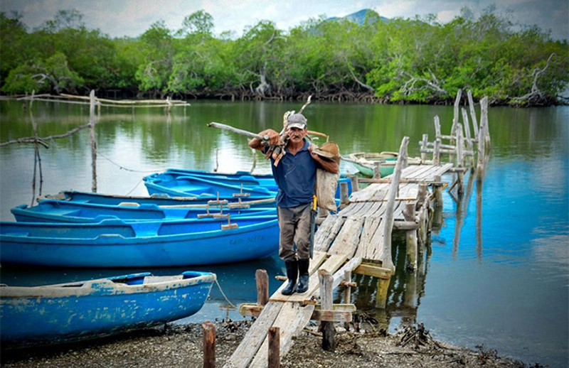 Concha Azul, exporte, angula, pepino de mar, empresa, Holguín