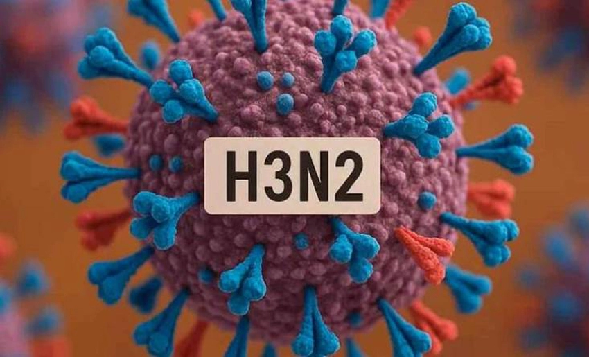 gripe A (H3N2)